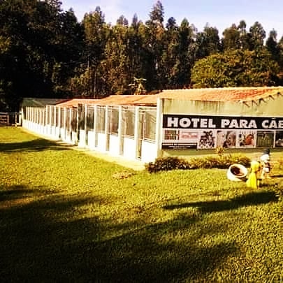 Imagem Serviço 1